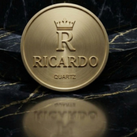Ricardo Watch logo